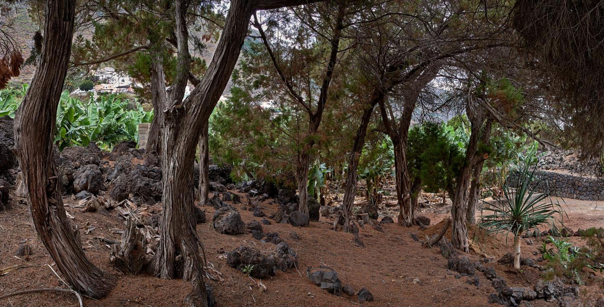 Las Sabinas Villa - El Guincho, Garachico Гарачико Екстер'єр фото